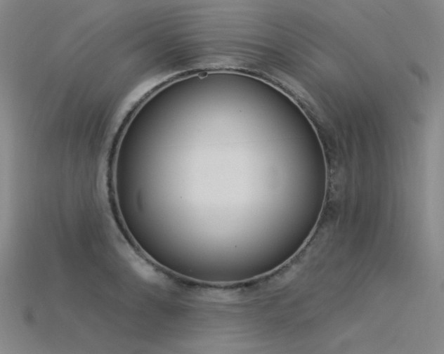 X0000115851086200911131546