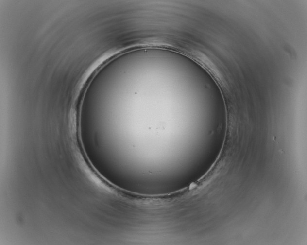 X0000115851092200911131546