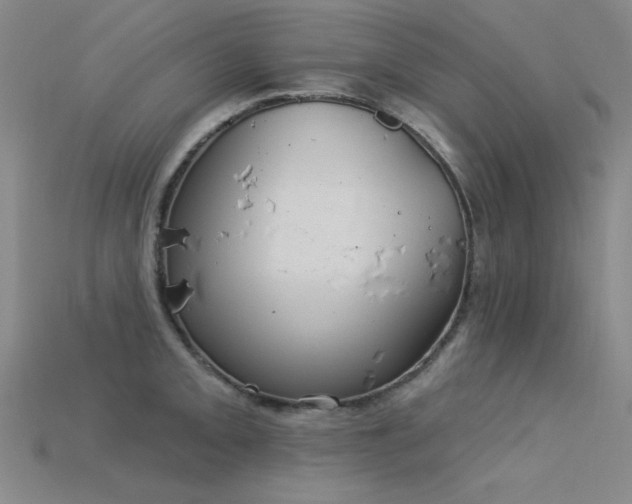 X0000115851093200911131546