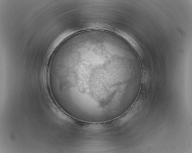 X0000115851094200911131546