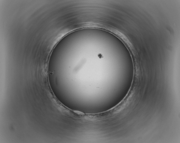 X0000115851097200911131546