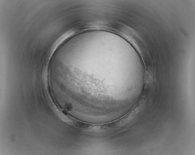 X0000115851098200911131546