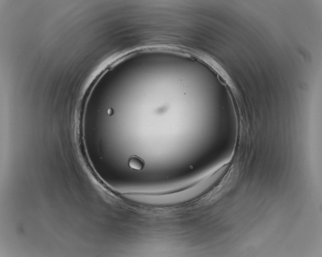 X0000115851101200911131546