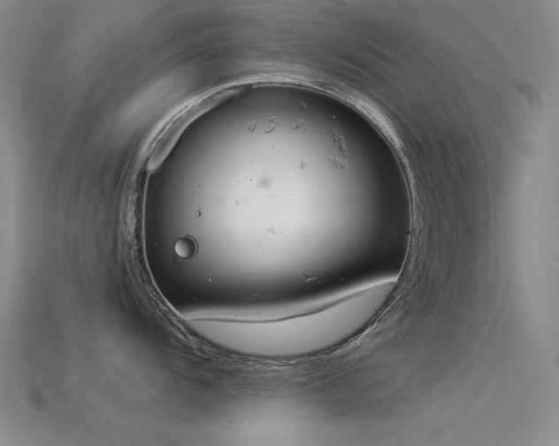X0000115851104200911131546
