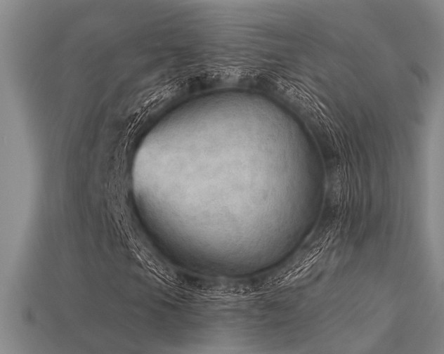 X0000115851105200911131545