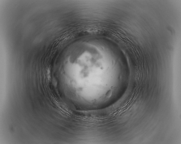 X0000115851106200911131545