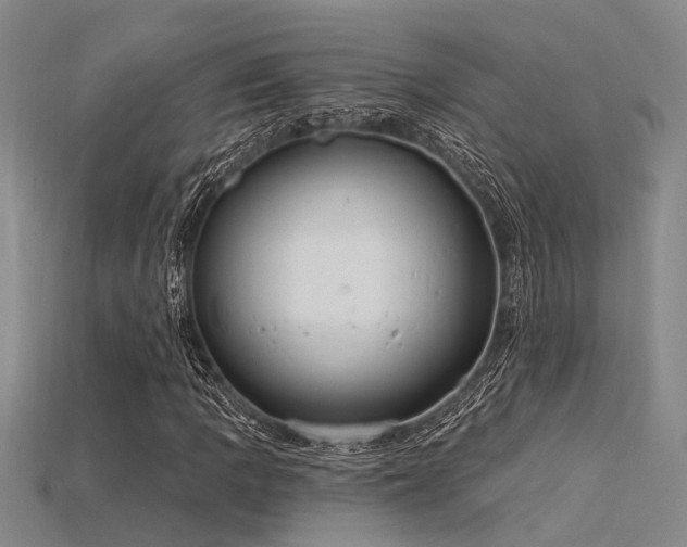 X0000115851109200911131545