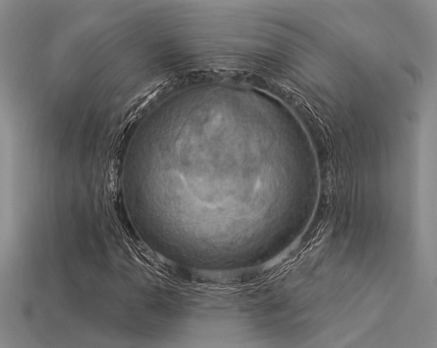 X0000115851110200911131545