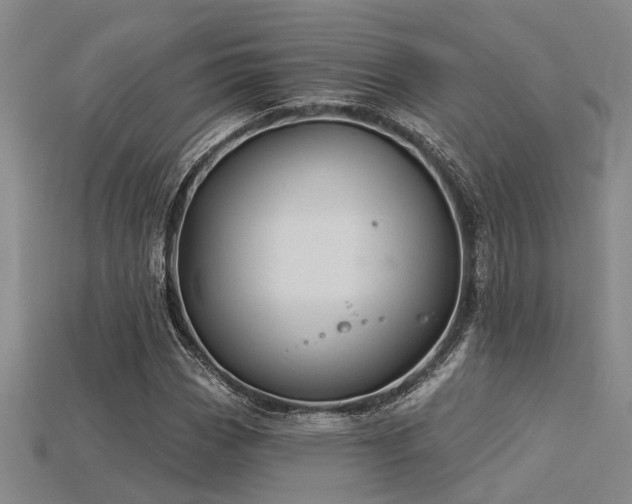 X0000115851113200911131545