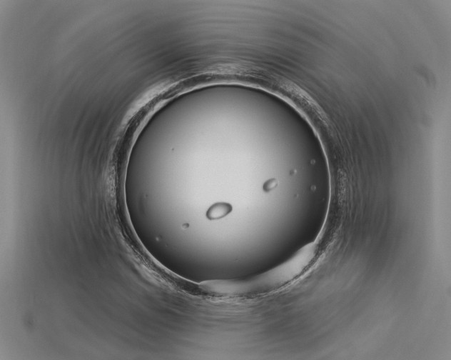 X0000115851114200911131546