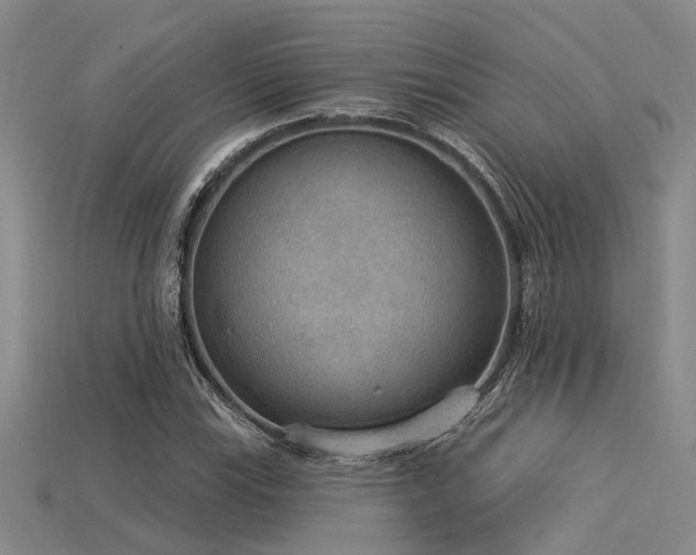 X0000115851115200911131546