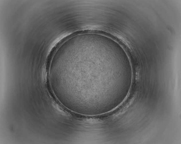 X0000115851117200911131546