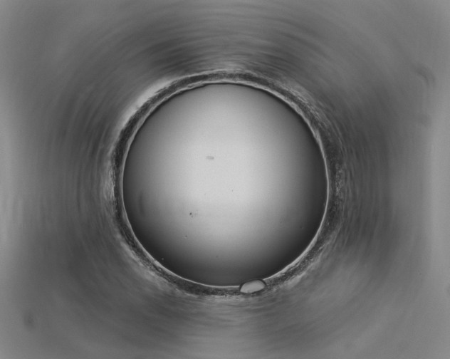 X0000115851118200911131546