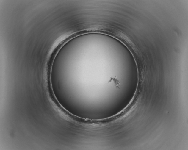 X0000115851122200911131546