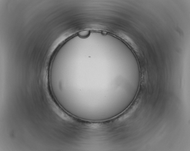 X0000115851130200911131546