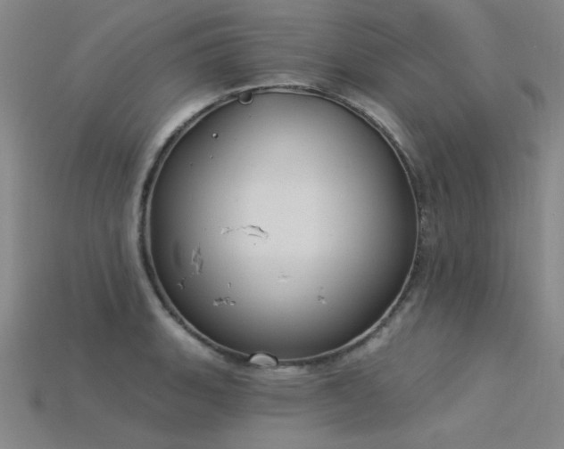 X0000115851135200911131546