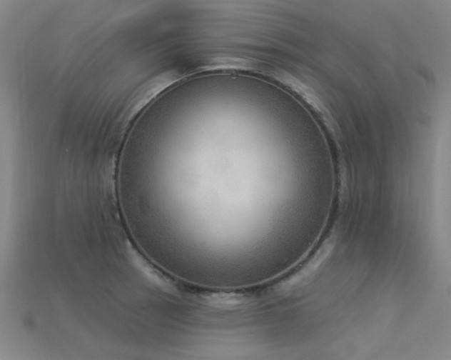 X0000115851137200911131546