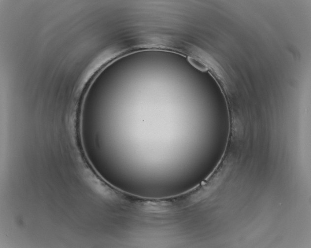 X0000115851138200911131546