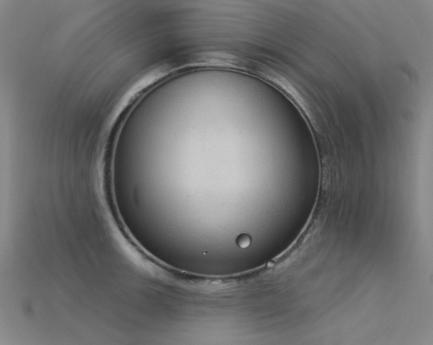 X0000115851139200911131546