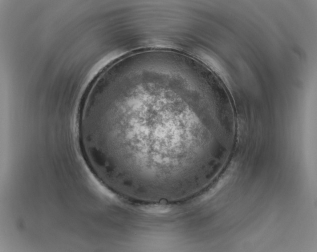X0000115851141200911131546