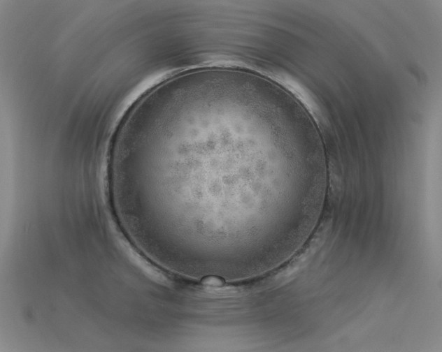 X0000115851142200911131546