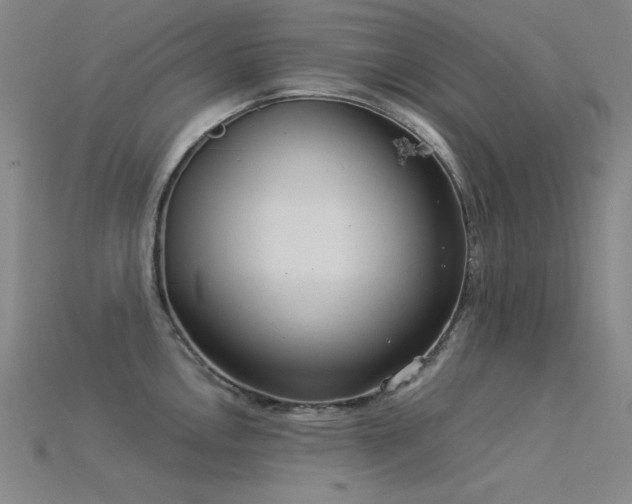 X0000115851146200911131546
