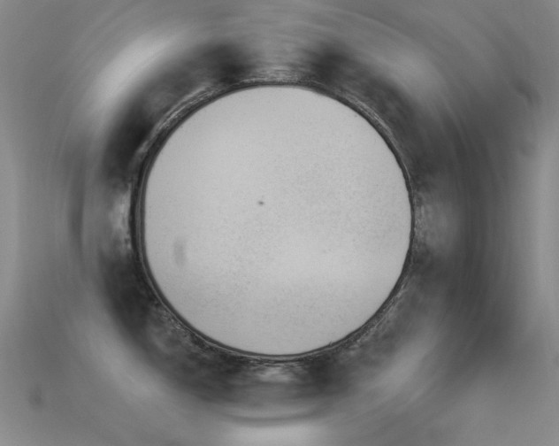 X0000115851150200911131546