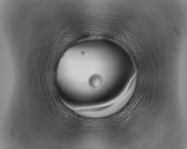 X0000115851153200911131545