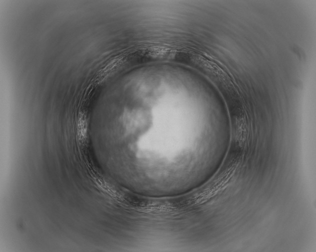 X0000115851154200911131545