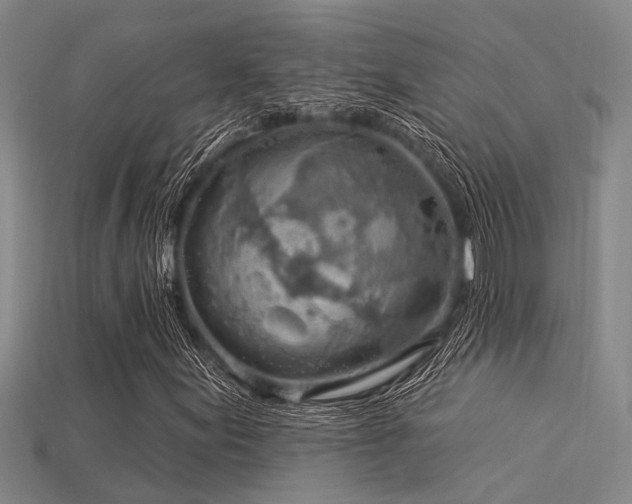 X0000115851155200911131545