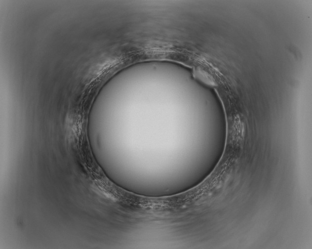 X0000115851157200911131545