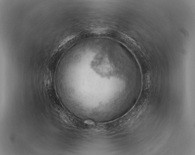 X0000115851158200911131545