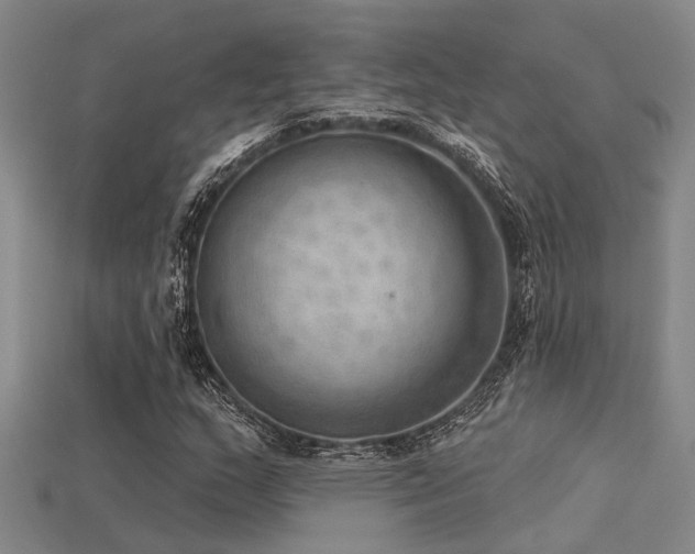 X0000115851159200911131545