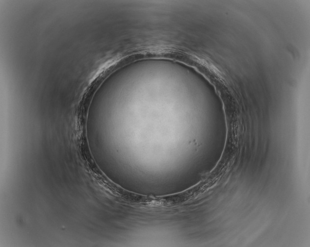X0000115851160200911131545