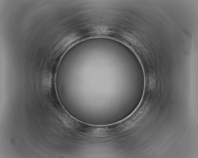 X0000115851161200911131545