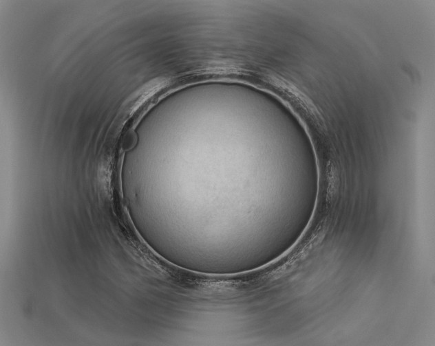 X0000115851162200911131545
