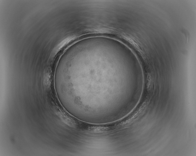 X0000115851163200911131545