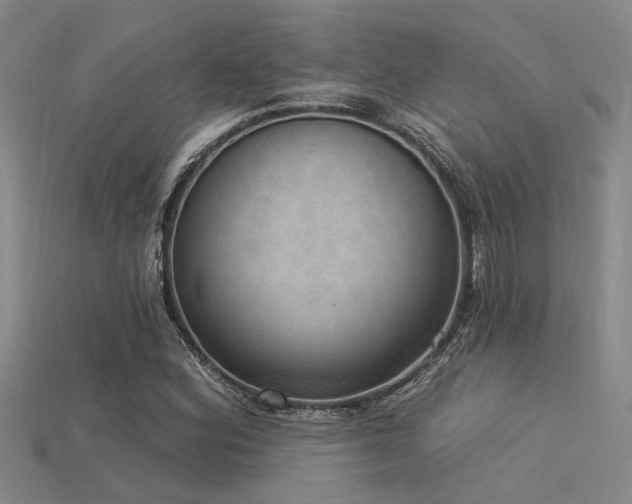 X0000115851164200911131545