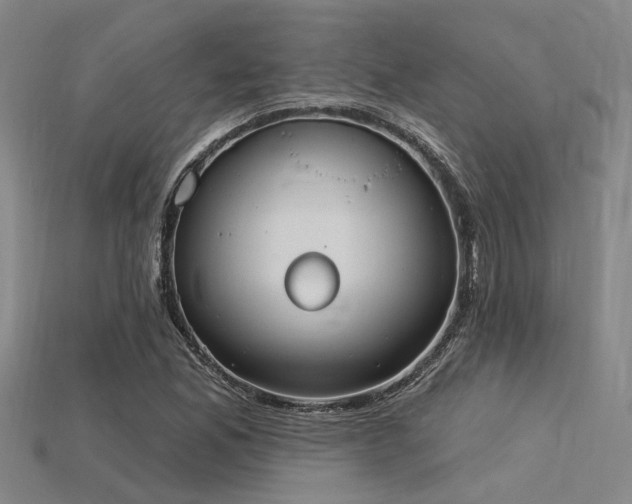 X0000115851165200911131545