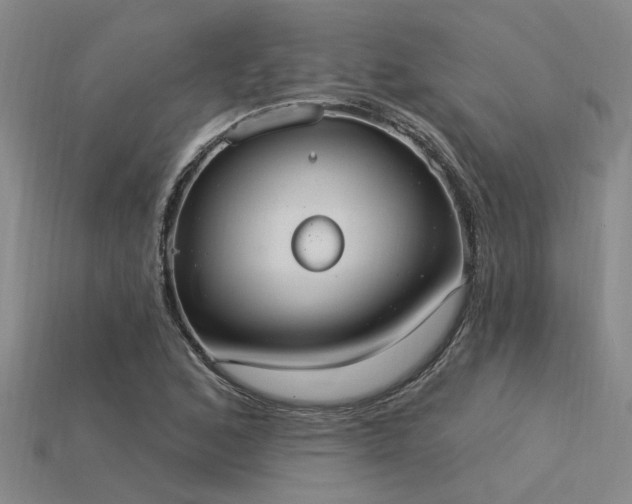 X0000115851168200911131545