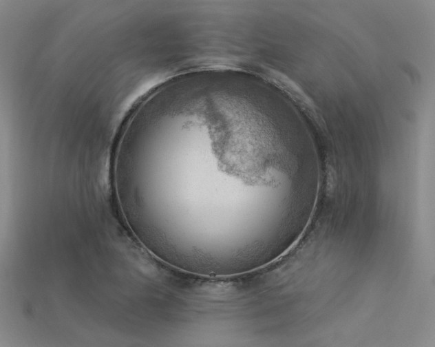 X0000115851174200911131545
