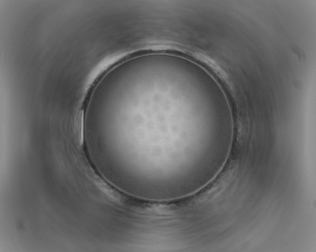X0000115851175200911131545