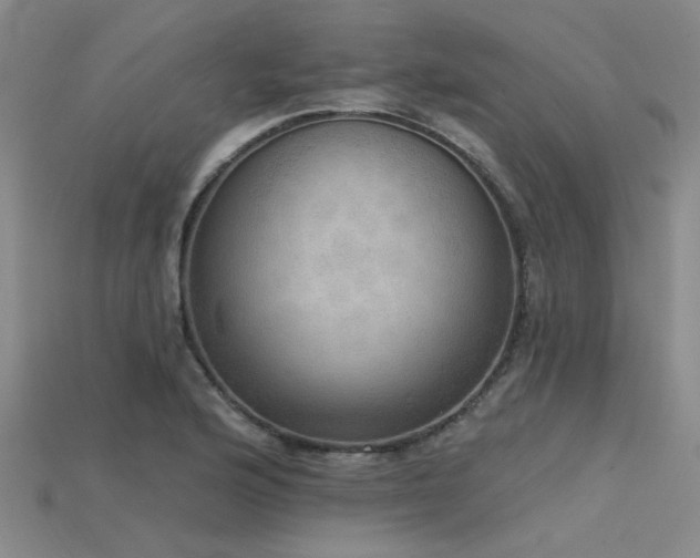 X0000115851176200911131545