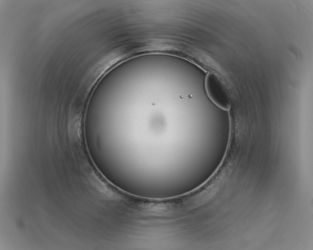 X0000115851177200911131545