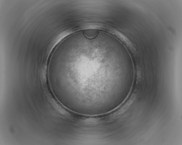 X0000115851178200911131545