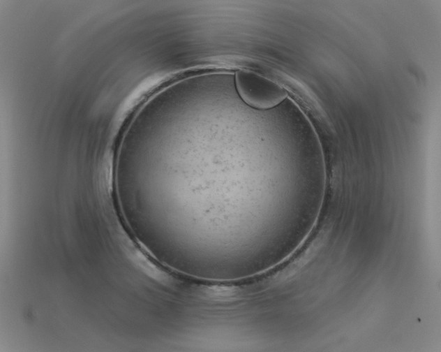 X0000115851180200911131545