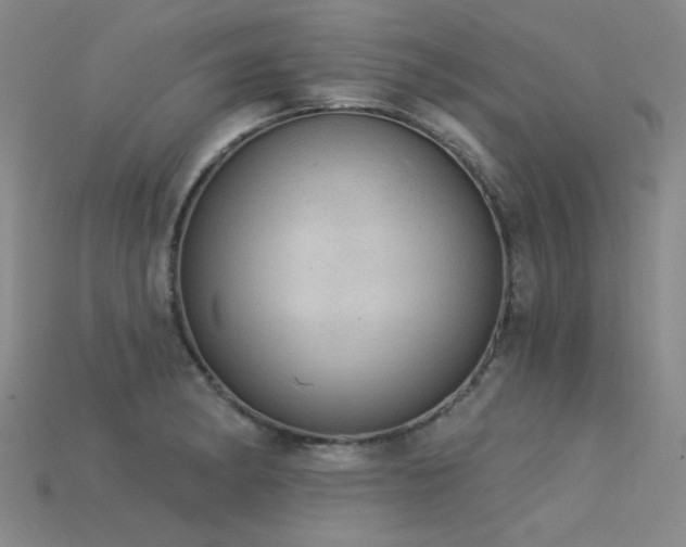 X0000115851182200911131545