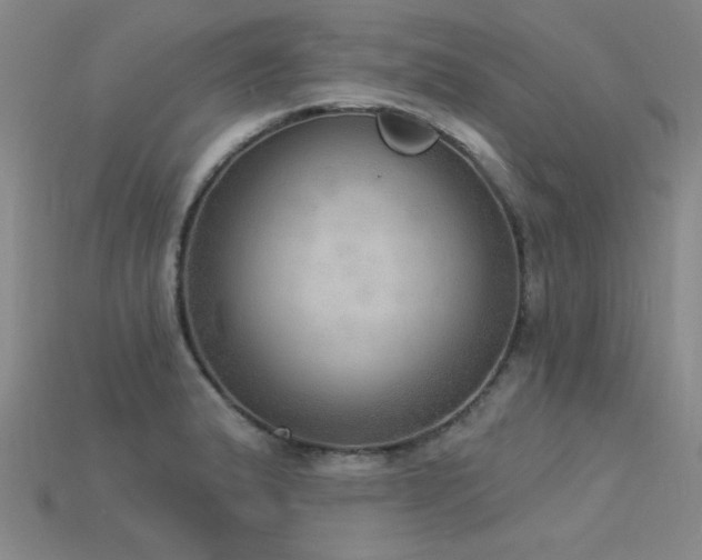 X0000115851183200911131545
