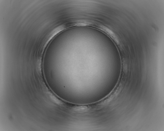 X0000115851186200911131545