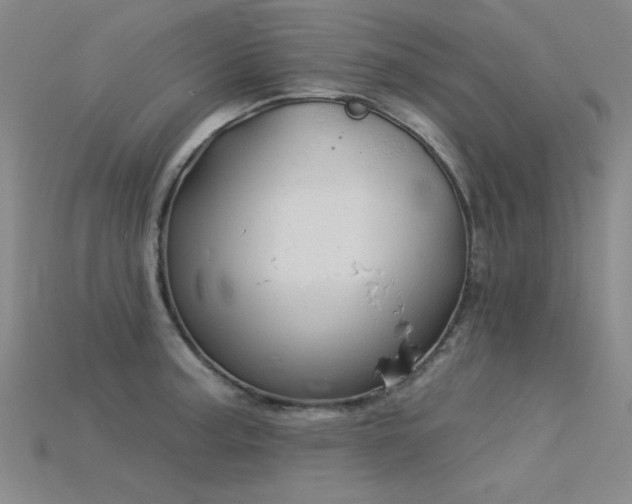 X0000115851187200911131545